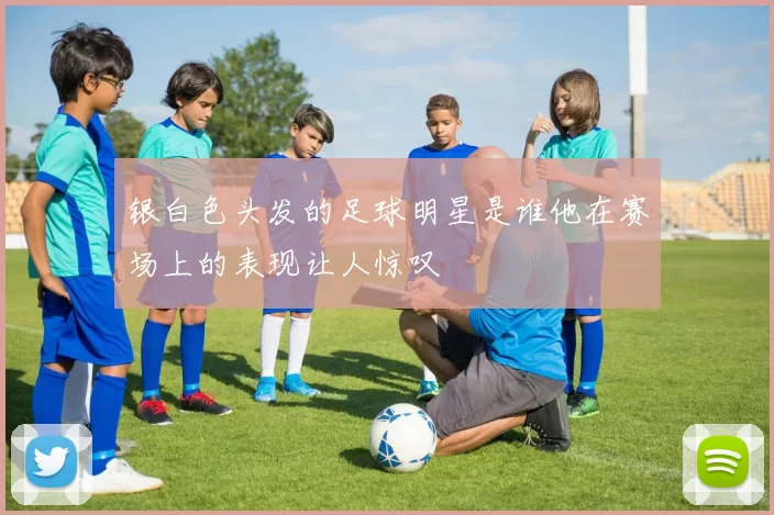 银白色头发的足球明星是谁他在赛场上的表现让人惊叹