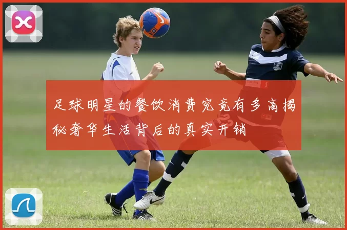 足球明星的餐饮消费究竟有多高揭秘奢华生活背后的真实开销