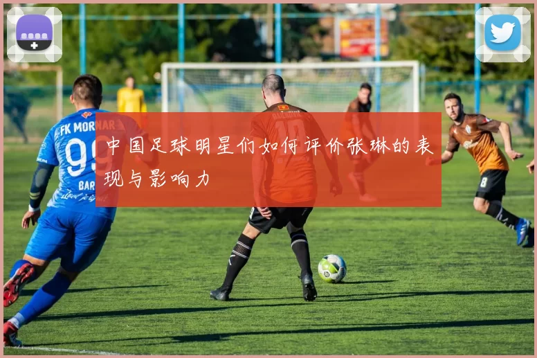 中国足球明星们如何评价张琳的表现与影响力