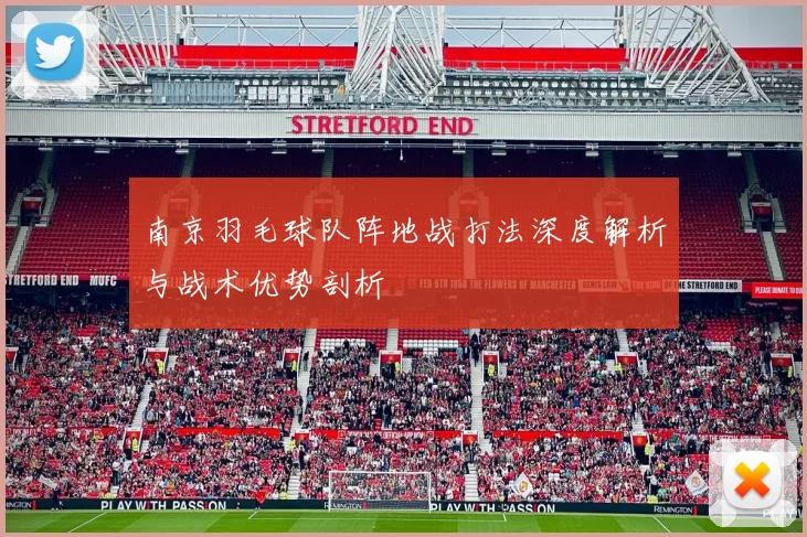 南京羽毛球队阵地战打法深度解析与战术优势剖析