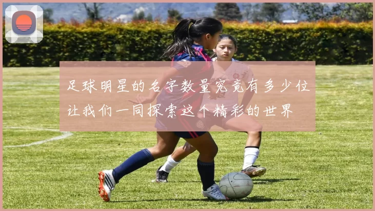 足球明星的名字数量究竟有多少位让我们一同探索这个精彩的世界