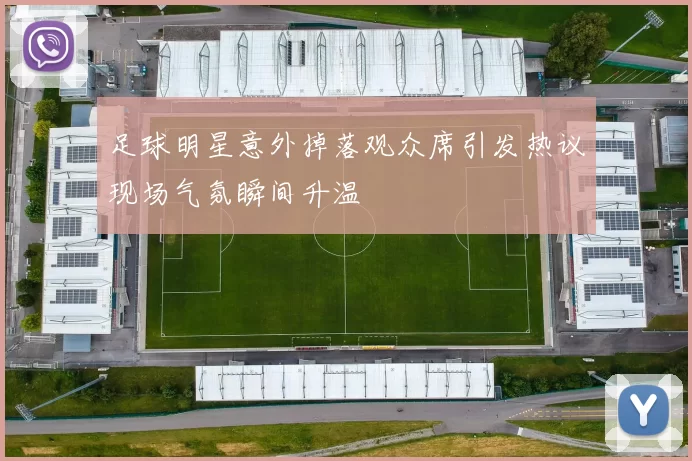 足球明星意外掉落观众席引发热议现场气氛瞬间升温