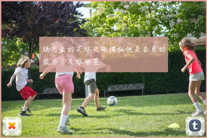 杨志豪的足球之路揭秘他是否真的成为了足球明星