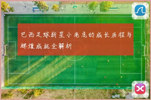 巴西足球新星小老虎的成长历程与辉煌成就全解析