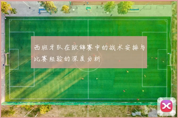 西班牙队在欧锦赛中的战术安排与比赛经验的深度分析