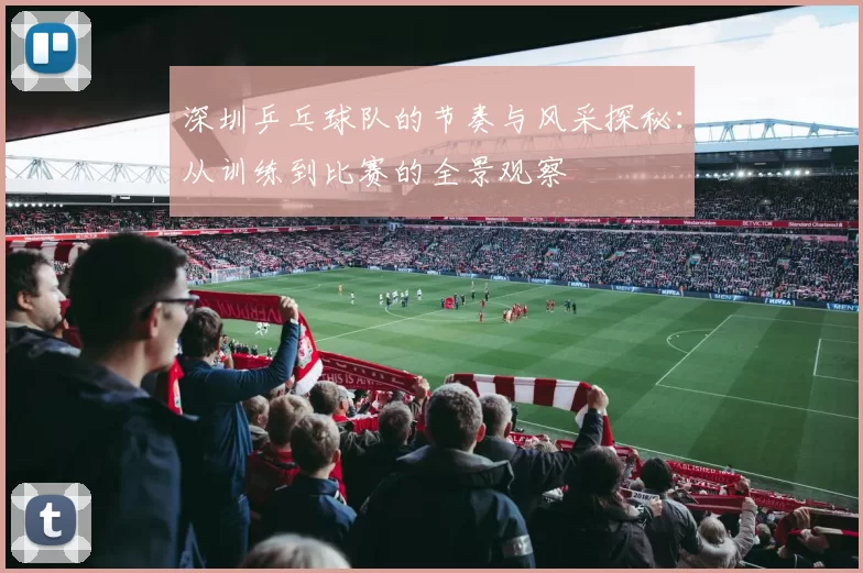 深圳乒乓球队的节奏与风采探秘：从训练到比赛的全景观察