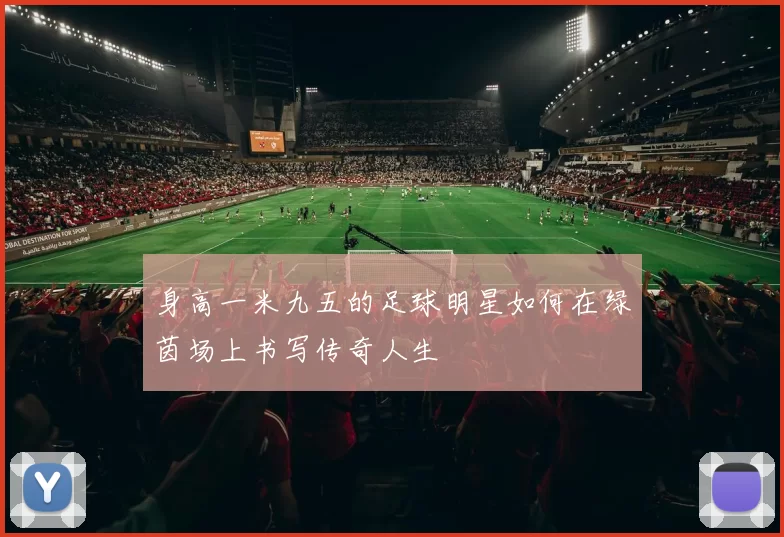 身高一米九五的足球明星如何在绿茵场上书写传奇人生