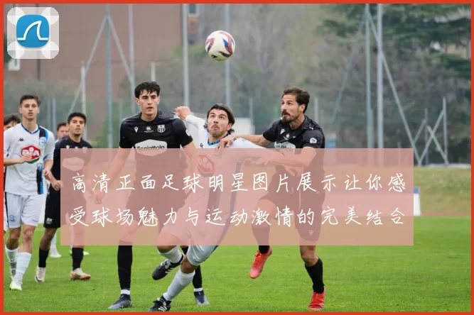 高清正面足球明星图片展示让你感受球场魅力与运动激情的完美结合
