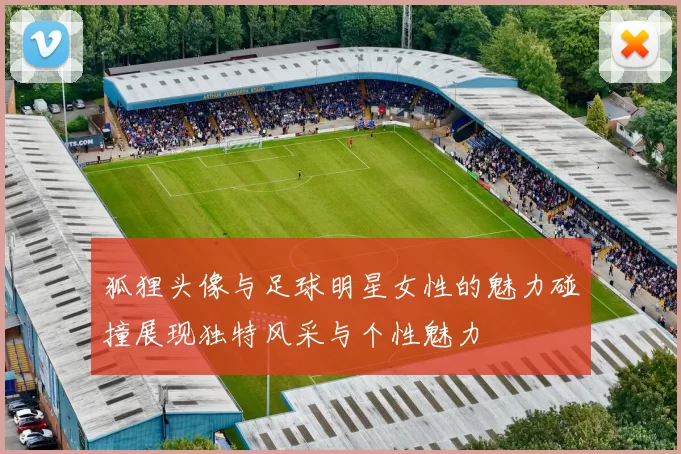 狐狸头像与足球明星女性的魅力碰撞展现独特风采与个性魅力