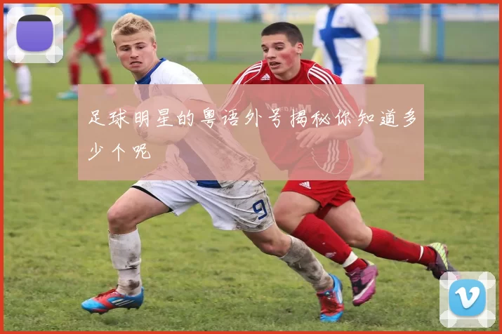 足球明星的粤语外号揭秘你知道多少个呢