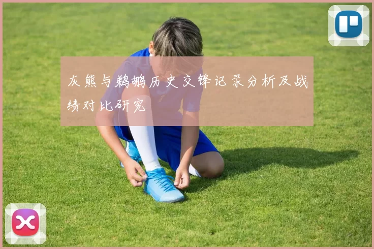 灰熊与鹈鹕历史交锋记录分析及战绩对比研究