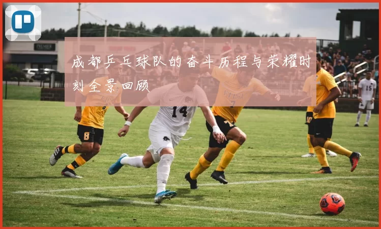 成都乒乓球队的奋斗历程与荣耀时刻全景回顾