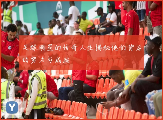 足球明星的传奇人生揭秘他们背后的努力与成就