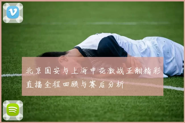 北京国安与上海申花激战正酣精彩直播全程回顾与赛后分析