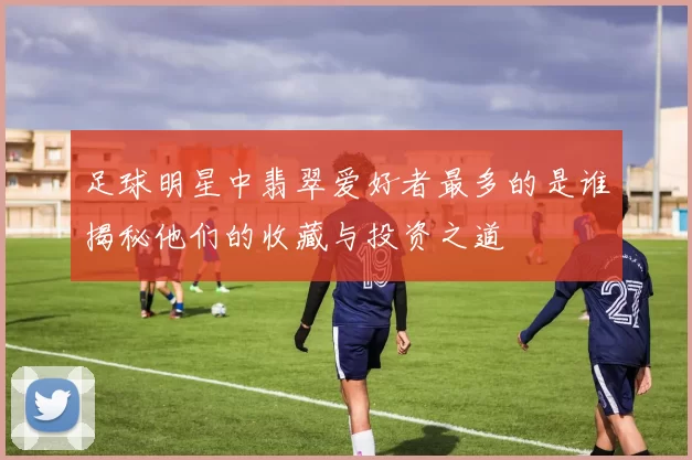 足球明星中翡翠爱好者最多的是谁揭秘他们的收藏与投资之道